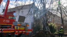 Vodič v Bratislave zaparkoval a odišiel. Jeho auto neskôr odfúklo a narazilo do stromu