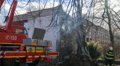 Vodič v Bratislave zaparkoval a odišiel. Jeho auto neskôr odfúklo a narazilo do stromu