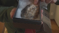 Slovensko má konečne svoju kostru z éry dinosaurov: Objavili ju úplne náhodou