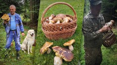 Hubárska sezóna sa naplno rozbehla. Slováci sa tešia z plných košíkov  (+ mapa lokalít)