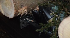 Neuveriteľná smola! Na osobné auto v Malužinej spadli dva stromy