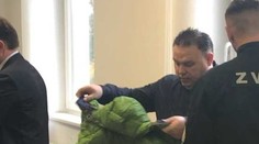 Vlček dostal za únos exmanželky Andrey 12 rokov za mrežami