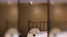 Ženu takmer zabil meteorit. Prerazil jej strechu a dopadol rovno do postele, kde spala