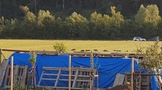 Aktéri nebezpečnej poľovačky, ktorí lovili diviaky z terénnych áut, vyviazli bez trestu