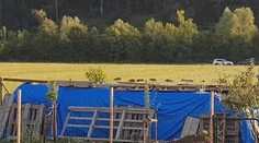 Aktéri nebezpečnej poľovačky, ktorí lovili diviaky z terénnych áut, vyviazli bez trestu