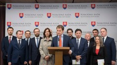 Toto je nová tieňová vláda: OĽaNO predstavilo ministrov