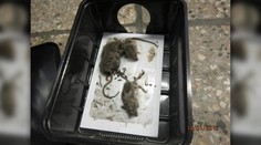 Ako dopadol obchod na vašej ulici? Tu je zoznam tých najhorších