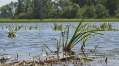 Polia im zaplavila voda, no generálny pardon sa ich netýka. Podmienky sú nejasné, bránia sa poľnohospodári
