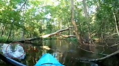 VIDEO: Na muža v kajaku zaútočil aligátor, unikol len o vlások