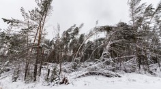 Na Chopku úradoval orkán. Vietor mal rýchlosť 119 km/h