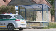 Miško (†4) vraj chcel spod autobusu vybrať psa, vodič si ho nevšimol