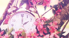 Jedna maličkosť každý mesiac vám dokáže za rok zmeniť život k lepšiemu