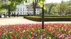 FOTO: Zrekonštruovaná Grasalkovičova záhrada čelila nájazdu vandalov. Vytrhali kvetiny a zničili lampu