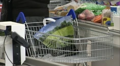 Dostanú igelitky nadobro stopku? Zadarmo už nebudú nikde