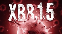 Do niekoľkých týždňov zaplaví Európu nový nákazlivejší typ koronavírusu, varuje Nemecko