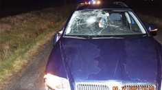 Tragédia pri obci Bačkovík. Chlapca (†14) zrazilo na ceste auto, vodič si ho zrejme nevšimol