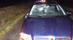 Tragédia pri obci Bačkovík. Chlapca (†14) zrazilo na ceste auto, vodič si ho zrejme nevšimol