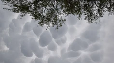 Nad Bratislavou sa objavili „bublinkové oblaky". Meteorológ vysvetlil, ako vznikajú