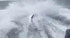 Mladíci utýrali žraloka na smrť. Drastické video vyvolalo obrovský ohlas