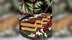 Recepty z Telerána: Punčové či medové rezy aj metrový koláč