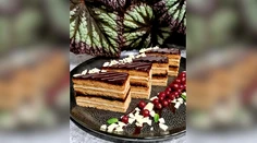 Recepty z Telerána: Punčové či medové rezy aj metrový koláč