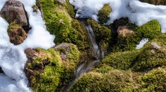 Mrazivé teploty sa dlho neudržali. Bude sa otepľovať