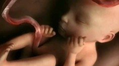 Toto musíte vidieť: Zázrak nového života v štyroch minútach!