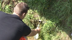 Pozrite si pramene v Údolí smrti. Niektorí sa z nich boja piť