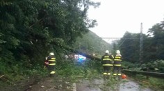 Lokálne búrky spôsobili problémy, do spadnutého stromu narazil vlak do Bratislavy