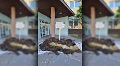 Kotlebovci vysypali hnoj pred budovu hygienikov. Prípadom sa už zaoberá polícia