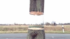 Strom, ktorý sa vznáša vo vzduchu: Objavili ho v Nemecku!