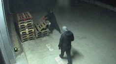 Polícia zverejnila video z krádeže v Leviciach. Takto sa zlodeji prebúrali do elektro predajne