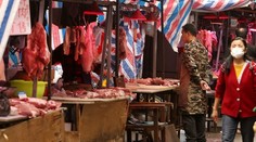 Život na trhovisku vo Wu-chane sa vrátil do normálu. V ponuke zostalo mäso z exotických zvierat