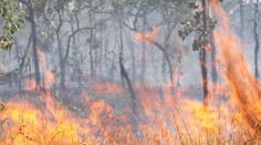 Pri Kamennom Mlyne horel les