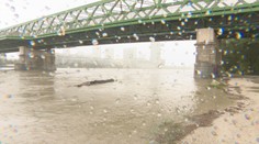 V Bratislave sa pripravujú na kulmináciu Dunaja. Vodohospodári stavajú bariéry