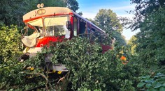 FOTO: Nešťastie na trati. Na vlak spadol počas jazdy strom a zranil rušňovodiča