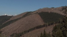 Povodne by nemuseli byť také silné, keby v lesoch nebolo stále viac výrubov