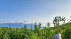 Vo Vysokých Tatrách znížili počet stretov s medveďom. Pomohlo im jedno opatrenie