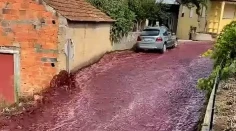 VIDEO: Ulice portugalského mesta zaplavili milióny litrov červeného vína