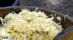 Kyslá kapusta nad zlato. Výborné a zdravé recepty z obľúbenej slovenskej potraviny