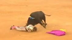 VIDEO: Hororový útok býka. Toreádor má poškodené tepny a takmer 30-centimetrové rany