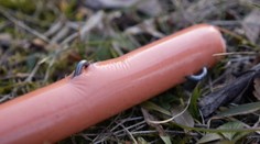 V Mikuláši niekto podhodil psom údeniny s klincami