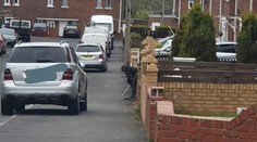 Muža zmiatla takmer dokonalá optická ilúzia: Čo sa vykľulo zo starčeka s paličkou, by neuhádol nikto