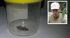 Z tohto vás strasie! Pozrite sa, čo vytiahla lekárka tomuto mužovi z ucha