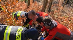 Oživiť sa ho snažili kolegovia aj záchranári. Lesný robotník, ktorého privalil strom, zraneniam podľahol