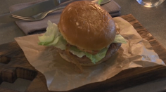 Niekomu sa možno zdvihne žalúdok. Takto vyzerá burger z nutrie