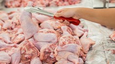 Na pultoch sa opäť objavila poľská kuracina so salmonelou. Prečítajte si, od ktorých firiem