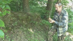 Hubárom počasie nepraje. Mykológ má však dobrú správu