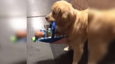 Policajti odhalili "chlpatého" kolegu, ako kradne vianočné hračky