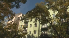 Vyšetrovací tím Gorila má novú šéfku, je ňou Martina Babacsová
